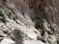 Thumbnail for version as of 05:14, 14 June 2023