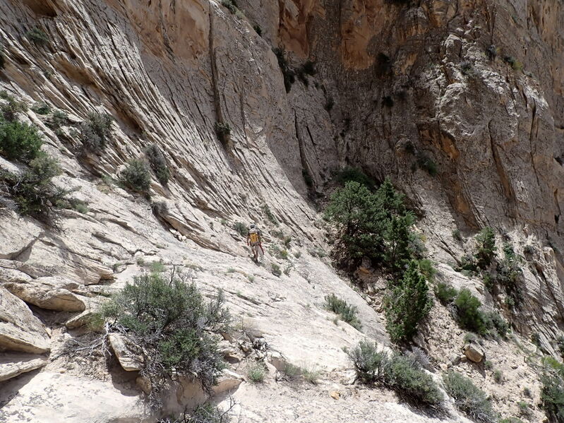 File:Hog Canyon in Dinosaur NM pic9.jpg