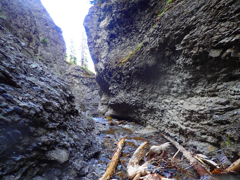 File:Oak Creek (Canopy) (Ouray) Canopy013.jpg