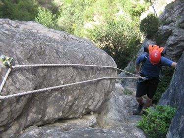 Peñas Pastor Banner.jpg