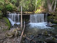 Quicksilver Creek-20240624024146 pic.jpg