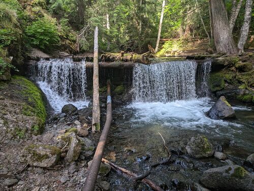 Quicksilver Creek-20240624024146 pic.jpg