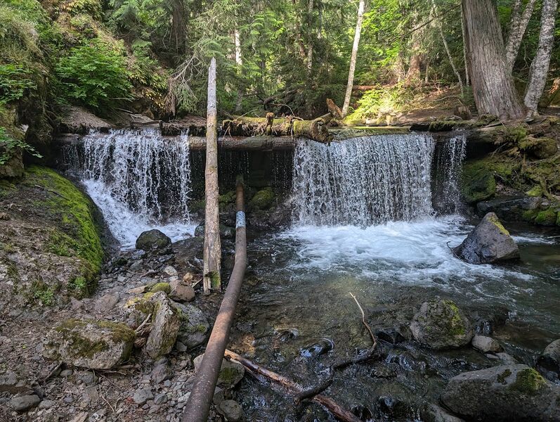 File:Quicksilver Creek-20240624024146 pic.jpg