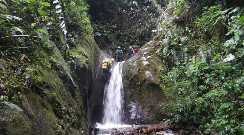 File:Venado Banner.jpg