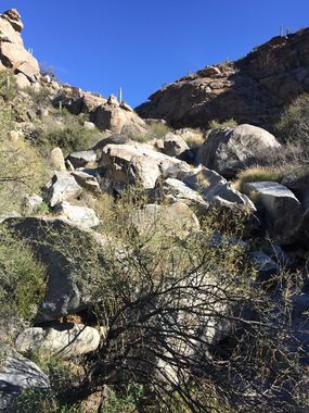Wild Burro Canyon Banner.jpg