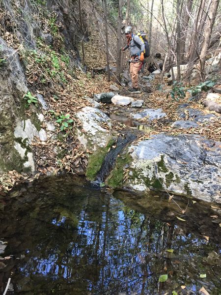 File:Laurel Springs Canyon img8043.jpg