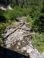 Marten Creek (North Cascades)-20260715031219 pic.jpg