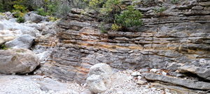 Pine Springs (Devil's Hall) pic8.jpg
