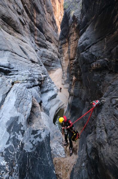 File:Baïonnette Banner.jpg