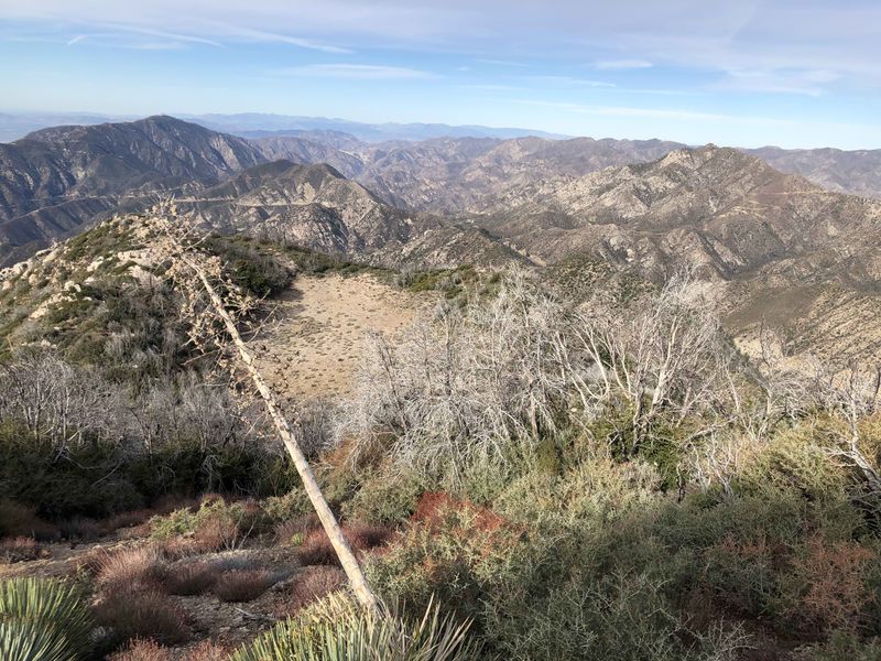 File:Bear Cloud Canyon img3273.jpg