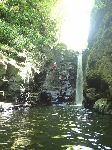 File:Birks pic2.jpg