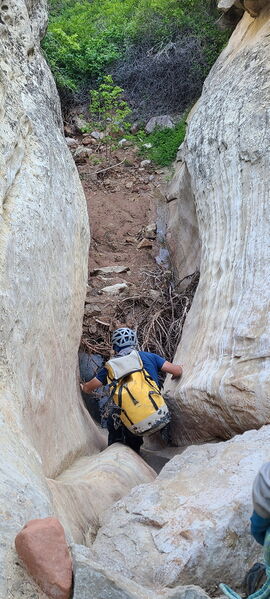 File:Carcass Canyon (Dinosaur) pic16.jpg