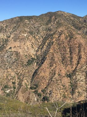 Flores Peak C4 Banner.jpg