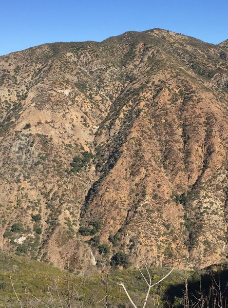 File:Flores Peak C4 Banner.jpg