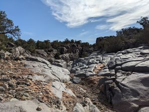 Lower Ute Canyon pics3.jpg
