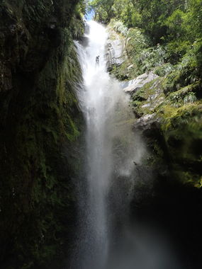 Zig Zag Creek Banner.jpg