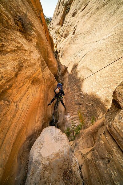 File:Bearwater Canyon pic5.jpg