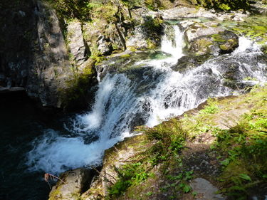 Gold Creek Banner.jpg