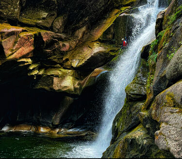 Osgood Creek Banner.jpg