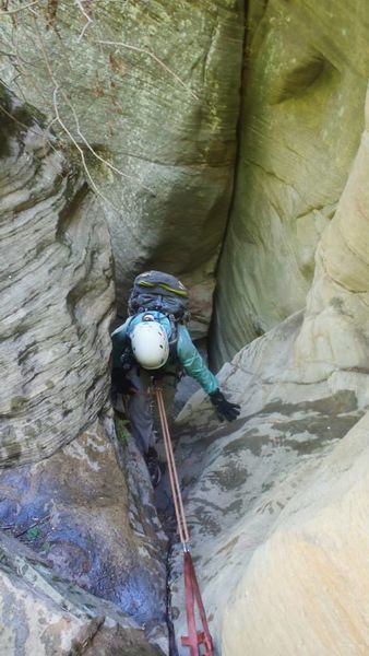 File:X-Pine Canyon Banner.jpg