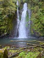 Boca de Salto-20241117055139 pic.jpg