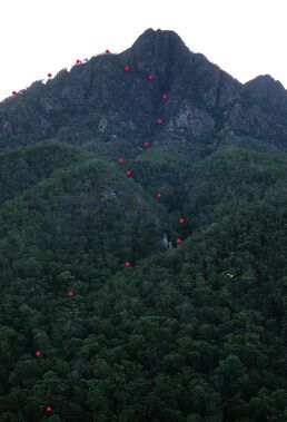 Barney East Canyon Banner.jpg