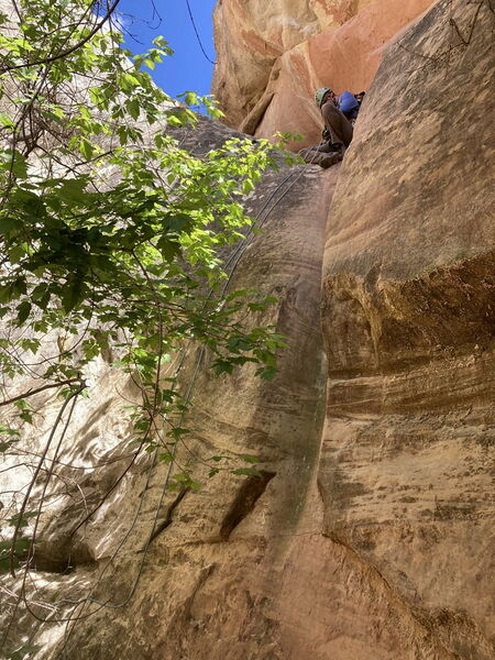 File:Carcass Canyon (Dinosaur) pic11.jpg