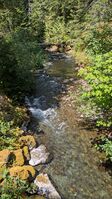 Lena Creek-20250725175110 pic.jpg