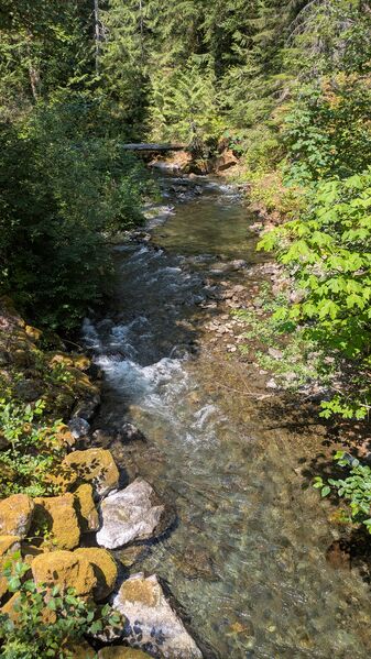 File:Lena Creek-20250725175110 pic.jpg