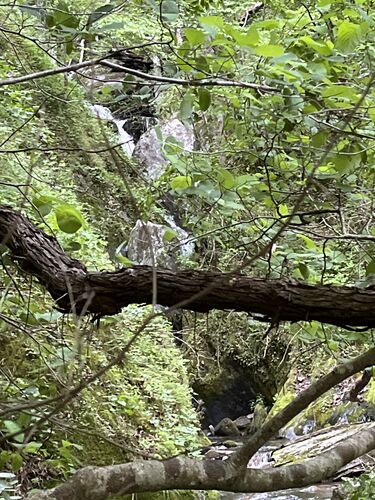 Mudcut Branch Canyon-20240514030428 pic.jpg