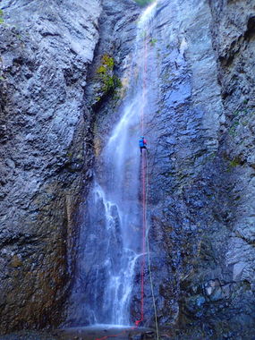 Oak Creek (Canopy) (Ouray) Banner.jpg