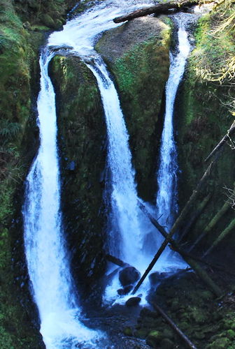 Oneonta Gorge-20150408075615 pic.jpg