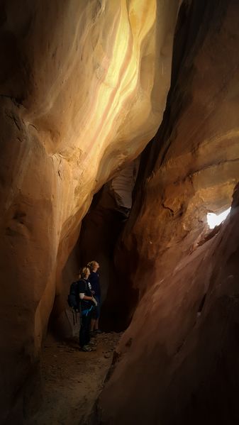 File:Slideanide Constrychnine Ultimate Loop lightroom.jpg