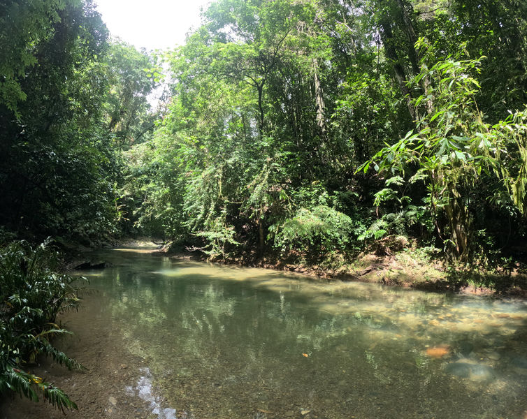 File:Guanapo Gorge Canyon stream.jpg