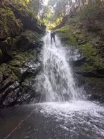 Hawthorn Creek (North Cascades)-20210715062116 pic.jpg