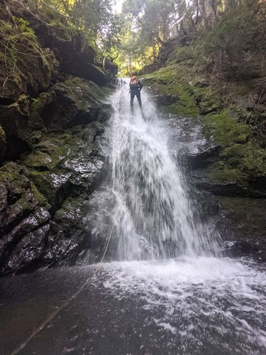 Hawthorn Creek (North Cascades)-20210715062116 pic.jpg