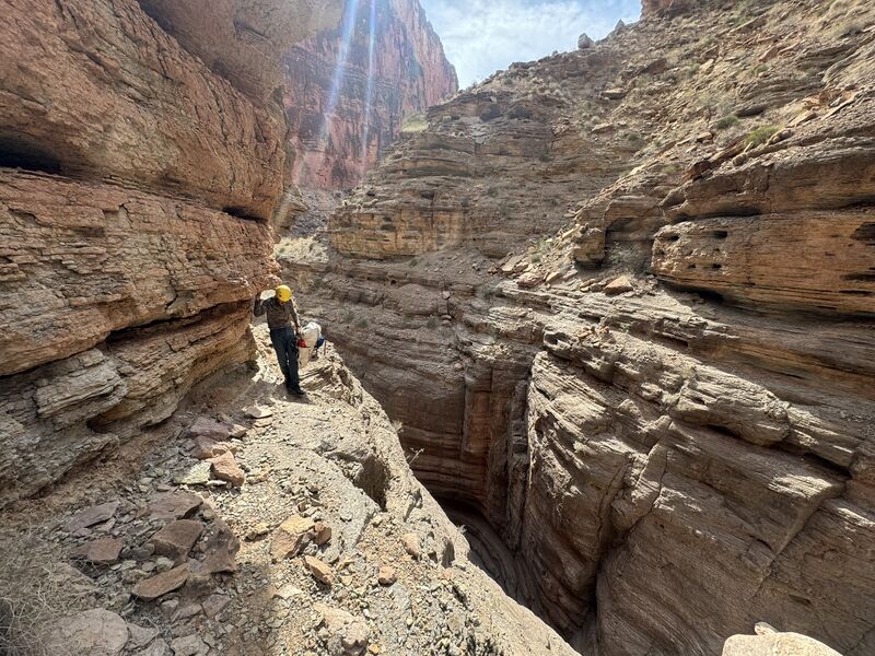 File:Matkatamiba Mauv Narrows narrow.jpg
