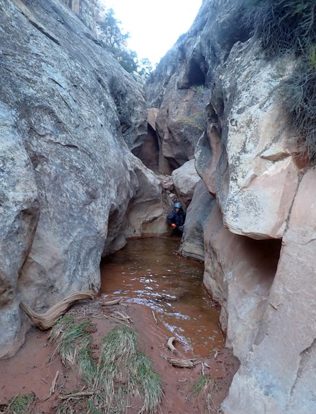 File:Miller Creek (Dinosaur) Banner.jpg