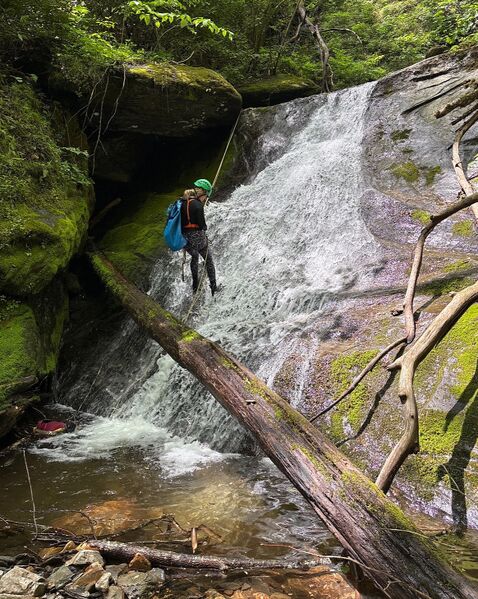 File:Mudcut Branch Canyon r6.jpg