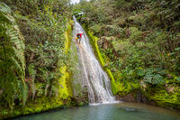 Mystery Creek-20200121030941 pic.jpg