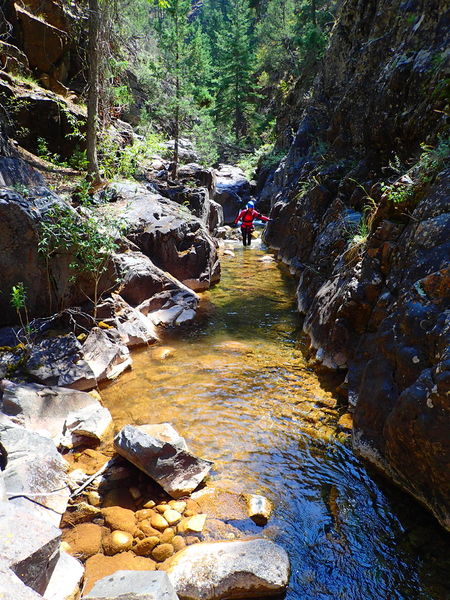 File:Canyon Creek (San Juan Mountains) CanyonCreekDurango101.jpg