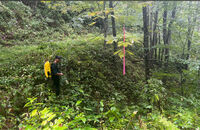Mudcut Branch Canyon-20240516004416 pic.jpg