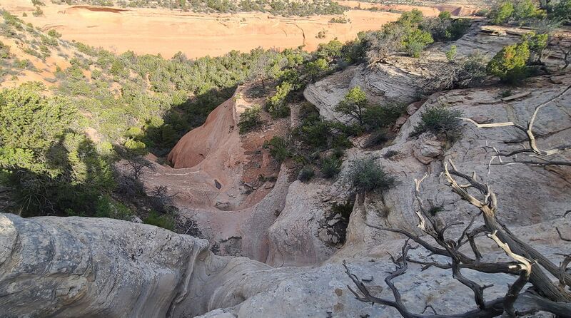 File:Pinyon Canyon (CNM) pic004.jpg