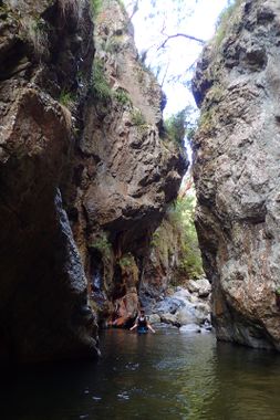Northbrook Gorge Banner.jpg