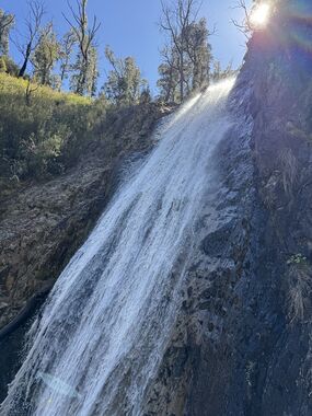 Phoenix (Tasmania) Banner.jpg