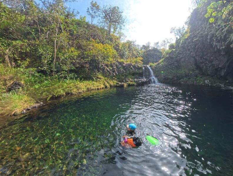 File:Emerald Canyon swimming.jpg