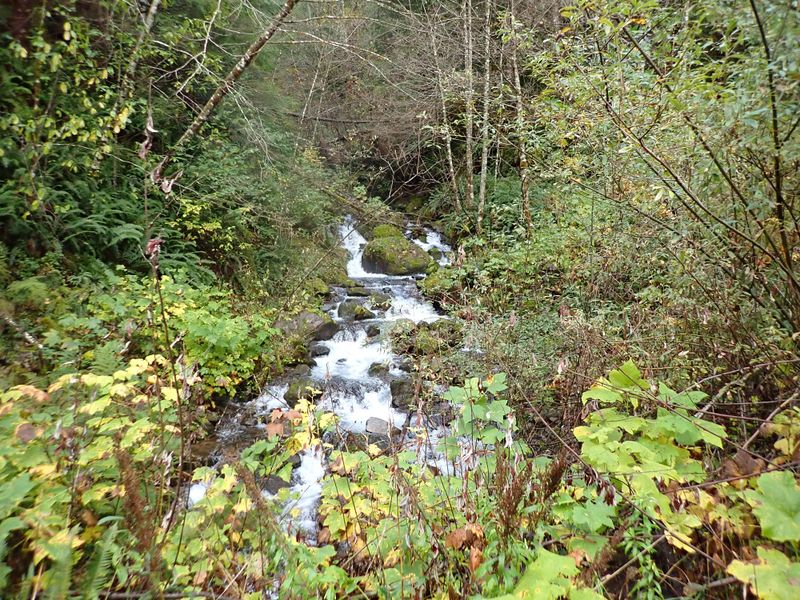 File:Fisher Creek-20201025222913 pic.jpg