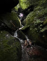 Thumbnail for version as of 01:23, 16 May 2024