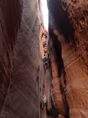 Slideanide Constrychnine Ultimate Loop Banner.jpg