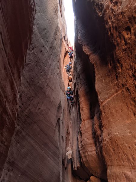 File:Slideanide Constrychnine Ultimate Loop Banner.jpg